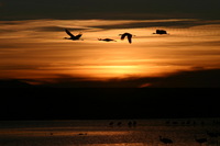 Canon EOS DIGITAL REBEL, 2006:12:27 10:15:43 -- 1/500 sec, f/11.0.  No Flash.3072x2048 Off.