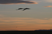 Canon EOS DIGITAL REBEL, 2006:12:27 10:18:47 -- 1/125 sec, f/9.0.  No Flash.3072x2048 Off.