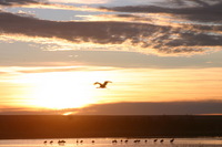 Canon EOS DIGITAL REBEL, 2006:12:27 10:18:56 -- 1/125 sec, f/9.0.  No Flash.3072x2048 Off.