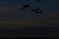 Canon EOS DIGITAL REBEL, 2006:12:27 10:19:55 -- 1/250 sec, f/9.0.  No Flash.3072x2048 Off.