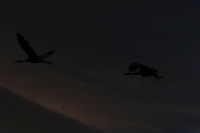 Canon EOS DIGITAL REBEL, 2006:12:27 10:19:58 -- 1/250 sec, f/9.0.  No Flash.3072x2048 Off.