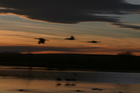 Canon EOS DIGITAL REBEL, 2006:12:27 10:20:04 -- 1/250 sec, f/9.0.  No Flash.3072x2048 Off.