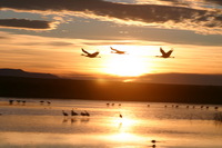 Canon EOS DIGITAL REBEL, 2006:12:27 10:20:05 -- 1/250 sec, f/9.0.  No Flash.3072x2048 Off.