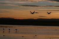 Canon EOS DIGITAL REBEL, 2006:12:27 10:20:06 -- 1/250 sec, f/9.0.  No Flash.3072x2048 Off.