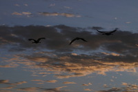 Canon EOS DIGITAL REBEL, 2006:12:27 10:20:10 -- 1/250 sec, f/9.0.  No Flash.3072x2048 Off.