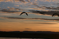 Canon EOS DIGITAL REBEL, 2006:12:27 10:20:18 -- 1/250 sec, f/9.0.  No Flash.3072x2048 Off.