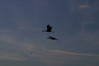 Canon EOS DIGITAL REBEL, 2006:12:27 10:20:26 -- 1/250 sec, f/9.0.  No Flash.3072x2048 Off.