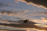 Canon EOS DIGITAL REBEL, 2006:12:27 10:20:28 -- 1/250 sec, f/9.0.  No Flash.3072x2048 Off.