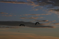 Canon EOS DIGITAL REBEL, 2006:12:27 10:20:30 -- 1/250 sec, f/9.0.  No Flash.3072x2048 Off.