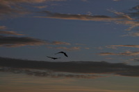 Canon EOS DIGITAL REBEL, 2006:12:27 10:20:31 -- 1/250 sec, f/9.0.  No Flash.3072x2048 Off.