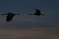 Canon EOS DIGITAL REBEL, 2006:12:27 10:22:06 -- 1/250 sec, f/9.0.  No Flash.3072x2048 Off.