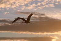 Canon EOS DIGITAL REBEL, 2006:12:27 10:22:09 -- 1/250 sec, f/9.0.  No Flash.3072x2048 Off.