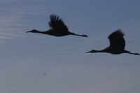 Canon EOS DIGITAL REBEL, 2006:12:27 10:22:29 -- 1/125 sec, f/9.0.  No Flash.3072x2048 Off.