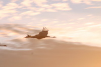 Canon EOS DIGITAL REBEL, 2006:12:27 10:22:35 -- 1/125 sec, f/9.0.  No Flash.3072x2048 Off.