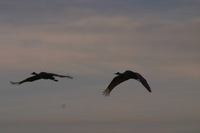 Canon EOS DIGITAL REBEL, 2006:12:27 10:22:52 -- 1/125 sec, f/9.0.  No Flash.3072x2048 Off.