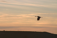 Canon EOS DIGITAL REBEL, 2006:12:27 10:24:57 -- 1/125 sec, f/9.0.  No Flash.3072x2048 Off.