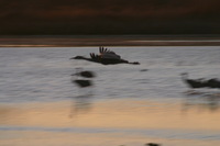 Canon EOS DIGITAL REBEL, 2006:12:27 10:25:17 -- 1/125 sec, f/9.0.  No Flash.3072x2048 Off.