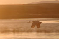 Canon EOS DIGITAL REBEL, 2006:12:27 10:25:18 -- 1/125 sec, f/9.0.  No Flash.3072x2048 Off.