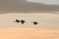 Canon EOS DIGITAL REBEL, 2006:12:27 10:25:29 -- 1/125 sec, f/9.0.  No Flash.3072x2048 Off.