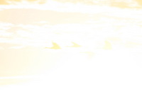 Canon EOS DIGITAL REBEL, 2006:12:27 10:25:30 -- 1/125 sec, f/9.0.  No Flash.3072x2048 Off.