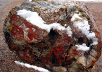 Canon PowerShot G3, 2006:12:28 15:06:33 -- 1/320 sec, f/8.0.  No Flash, Compulsory.2272x1704 Off.