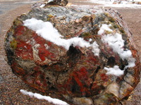 Canon PowerShot G3, 2006:12:28 15:06:33 -- 1/320 sec, f/8.0.  No Flash, Compulsory.2272x1704 Off.