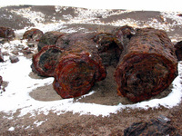 Canon PowerShot G3, 2006:12:28 15:08:03 -- 1/400 sec, f/8.0.  No Flash, Compulsory.2272x1704 Off.