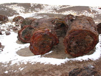 Canon PowerShot G3, 2006:12:28 15:08:03 -- 1/400 sec, f/8.0.  No Flash, Compulsory.2272x1704 Off.