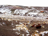 Canon PowerShot G3, 2006:12:28 15:09:00 -- 1/400 sec, f/8.0.  No Flash, Compulsory.2272x1704 Off.