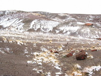 Canon PowerShot G3, 2006:12:28 15:09:00 -- 1/400 sec, f/8.0.  No Flash, Compulsory.2272x1704 Off.