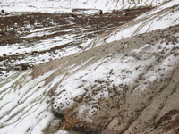 Canon PowerShot G3, 2006:12:28 15:10:45 -- 1/1000 sec, f/8.0.  No Flash, Compulsory.2272x1704 Off.