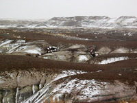 Canon PowerShot G3, 2006:12:28 15:10:58 -- 1/1000 sec, f/8.0.  No Flash, Compulsory.2272x1704 Off.