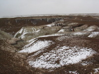 Canon PowerShot G3, 2006:12:28 15:11:35 -- 1/1000 sec, f/8.0.  No Flash, Compulsory.2272x1704 Off.