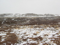 Canon PowerShot G3, 2006:12:28 15:12:04 -- 1/1000 sec, f/8.0.  No Flash, Compulsory.2272x1704 Off.