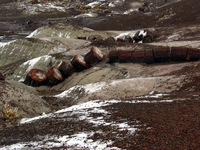 Canon PowerShot G3, 2006:12:28 15:12:15 -- 1/1000 sec, f/8.0.  No Flash, Compulsory.2272x1704 Off.