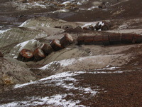 Canon PowerShot G3, 2006:12:28 15:12:15 -- 1/1000 sec, f/8.0.  No Flash, Compulsory.2272x1704 Off.