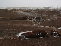 Canon PowerShot G3, 2006:12:28 15:12:30 -- 1/1000 sec, f/8.0.  No Flash, Compulsory.2272x1704 Off.