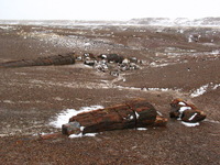 Canon PowerShot G3, 2006:12:28 15:12:42 -- 1/500 sec, f/8.0.  No Flash, Compulsory.2272x1704 Off.