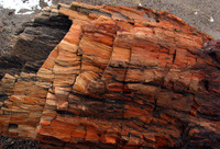 Canon PowerShot G3, 2006:12:28 15:20:45 -- 1/500 sec, f/8.0.  No Flash, Compulsory.2272x1704 Off.