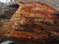 Canon PowerShot G3, 2006:12:28 15:20:45 -- 1/500 sec, f/8.0.  No Flash, Compulsory.2272x1704 Off.