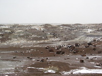 Canon PowerShot G3, 2006:12:28 15:22:42 -- 1/640 sec, f/8.0.  No Flash, Compulsory.2272x1704 Off.