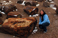 Canon PowerShot G3, 2006:12:28 15:23:40 -- 1/640 sec, f/8.0.  No Flash, Compulsory.2272x1704 Off.