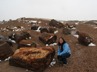 Canon PowerShot G3, 2006:12:28 15:23:40 -- 1/640 sec, f/8.0.  No Flash, Compulsory.2272x1704 Off.