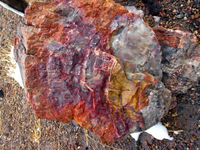 Canon PowerShot G3, 2006:12:28 15:24:36 -- 1/200 sec, f/8.0.  No Flash, Compulsory.2272x1704 Off.