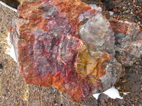 Canon PowerShot G3, 2006:12:28 15:24:36 -- 1/200 sec, f/8.0.  No Flash, Compulsory.2272x1704 Off.