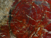 Canon PowerShot G3, 2006:12:28 15:38:45 -- 1/60 sec, f/3.2.  No Flash, Compulsory.2272x1704 Off.