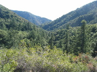 Canon PowerShot G3, 2006:12:29 15:12:51 -- 1/250 sec, f/4.0.  No Flash, Auto.2272x1704 Red-Eye Reduction (Auto).