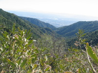 Canon PowerShot G3, 2006:12:29 16:11:44 -- 1/1000 sec, f/2.5.  No Flash, Auto.2272x1704 Red-Eye Reduction (Auto).