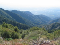 Canon PowerShot G3, 2006:12:29 17:16:37 -- 1/1000 sec, f/2.5.  No Flash, Auto.2272x1704 Red-Eye Reduction (Auto).