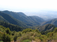 Canon PowerShot G3, 2006:12:29 17:17:10 -- 1/500 sec, f/8.0.  No Flash, Compulsory.2272x1704 Off.